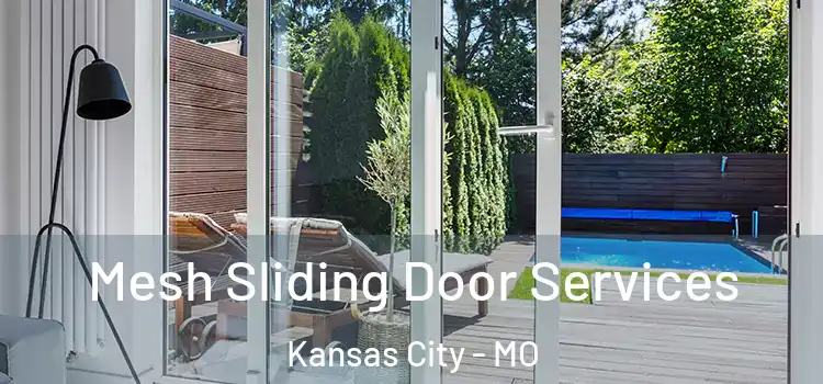 Mesh Sliding Door Services Kansas City - MO